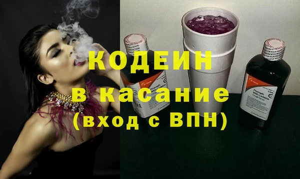 шишки Надым