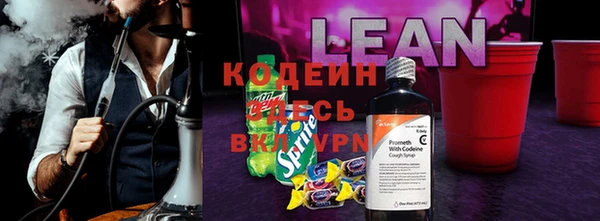 шишки Надым