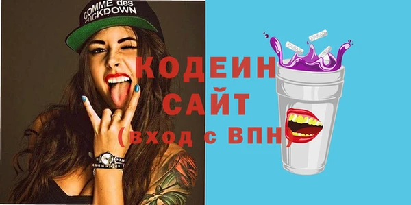 шишки Надым