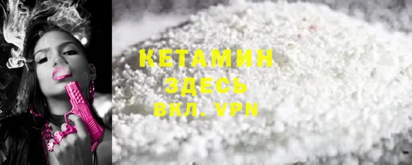 шишки Надым