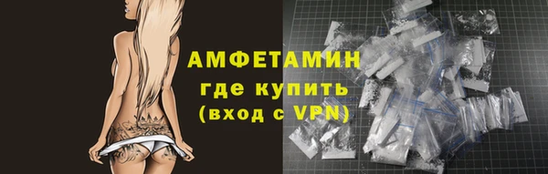 шишки Надым