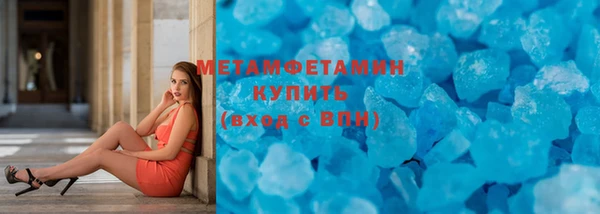 шишки Надым