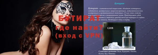 шишки Надым