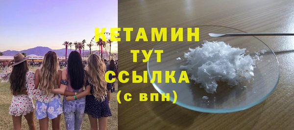 шишки Надым